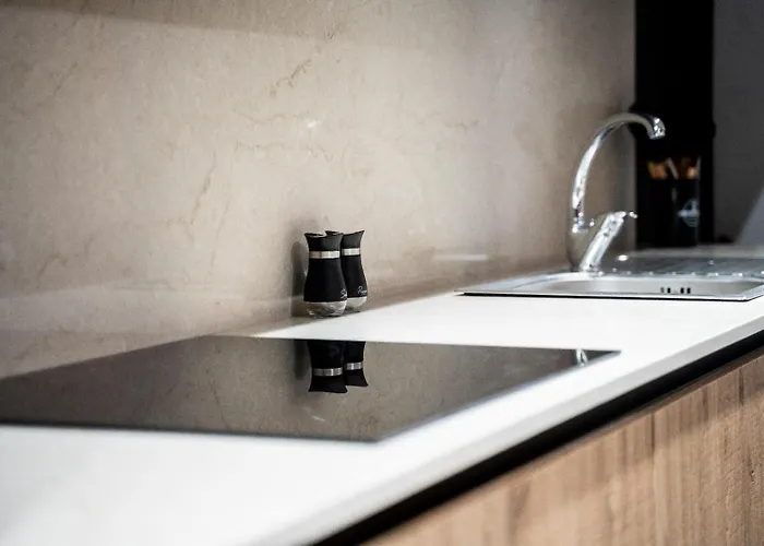 홈스테이 The Duo